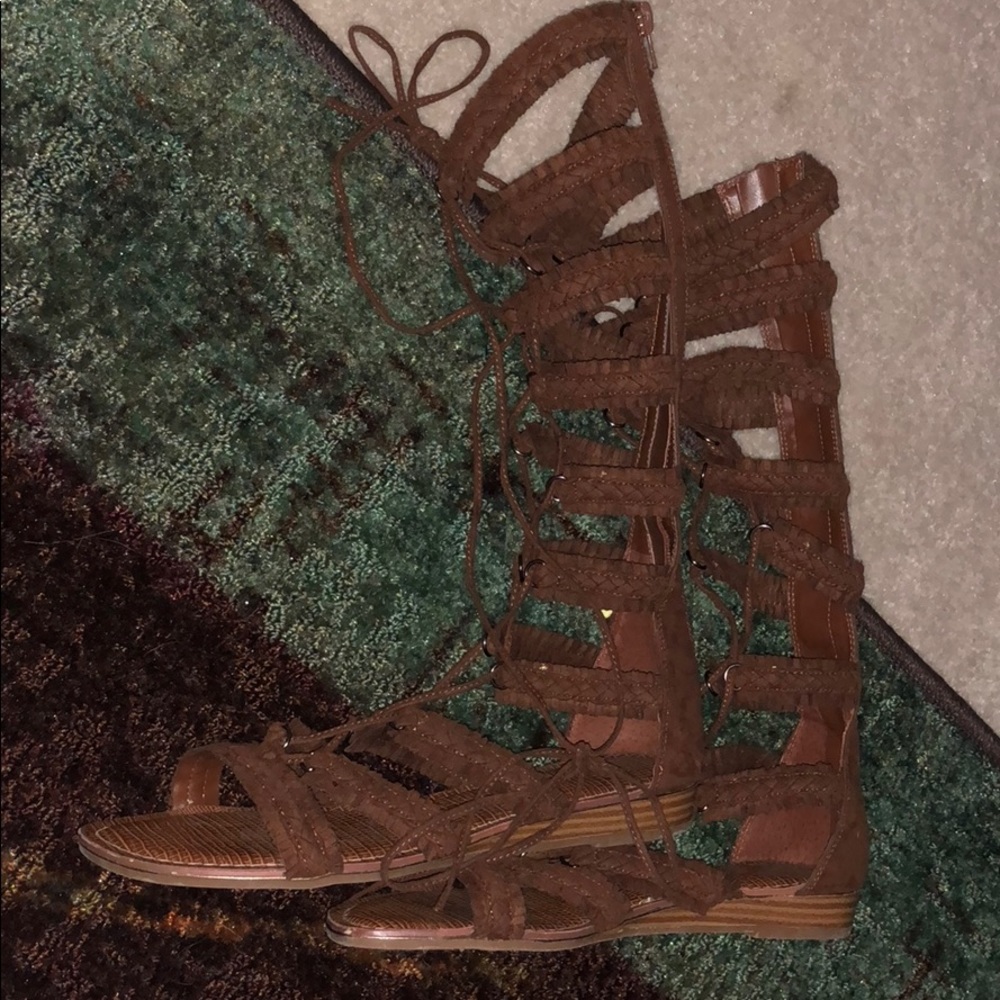 Dark brown, gladiators